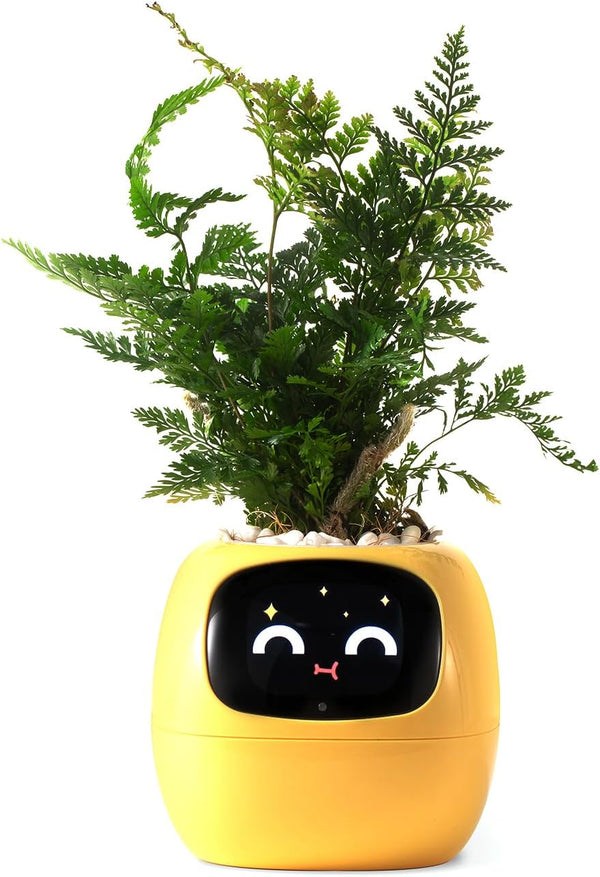 Ivy the Smart Plant Buddy